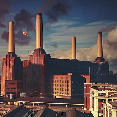 11x11 PINK FLOYD Animals Album Cover POSTER Classic Music Wall Art • $12.99
