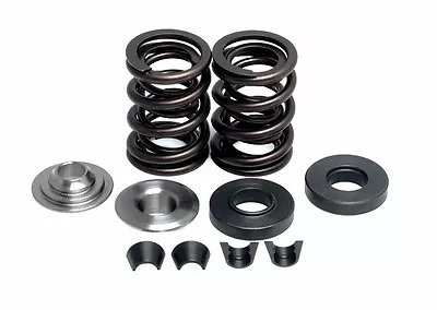 Kibblewhite Racing Valve Spring Warrior Raptor Wolverine Grizzly Big Bear 350 • $89.95