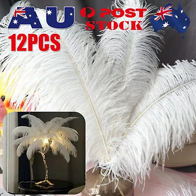 BULK Goose Ostrich Feathers Costume Wedding Party Decorations White  Z • $9.99