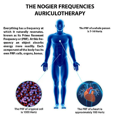 The Nogier Frequencies Auriculotherapy Cd • $5.04