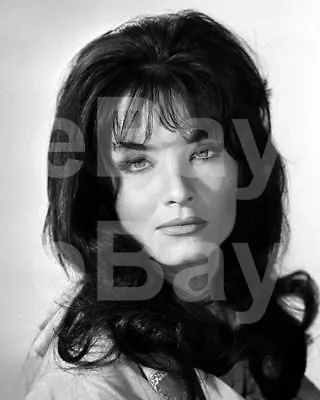 Department S (TV) Kate O'Mara 10x8 Photo • £2.79