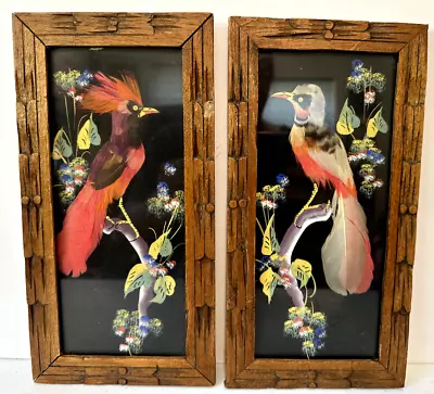 Mexican Feathercraft Birds Folk Art Vintage 2 Feathers Carved Frame Bohemia Old • $24.99