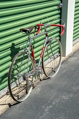 Frejus Bicycle Vintage Late 50's Or Early 60's Italian Racing Bike 56cm  • $1250