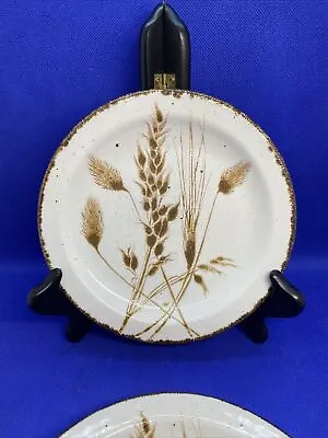 Stonehenge Midwinter Wild Oats 7  Salad Plates Made In England Lot 3 • $29