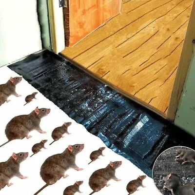 47” Big Mice Mouse Glue Traps Rodent Catcher Rat Board Super Sticky Free To Cut • $46.89