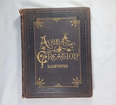 Antique 1885 Animate Creation Vol. 3 Illustrated Rev. J.G Wood • $85