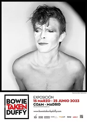 David Bowie 2023 Exhibition Poster - Chris Duffy - Scary Monsters Ashes To Ashes • £35