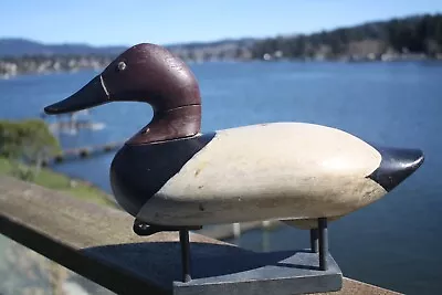 1942 Canvasback Drake Decoy By R. Madison Mitchell Havre De Grace Md. Signed. • $365