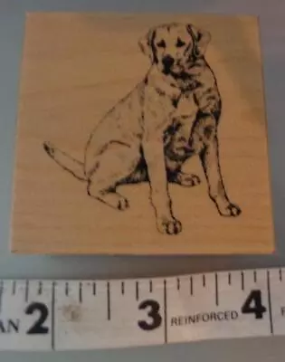 PSX E-701 Labrador Retriever Dog Rubber Stamp • $5.99