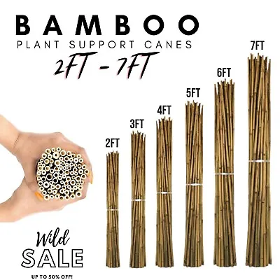 Bamboo Heavy Duty Garden Canes Thick Quality Flower Plant Support Cane Stake • £5.99