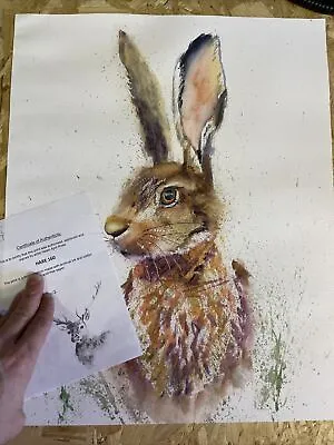 £35 • Buy A2 - HARE Limited Edition PRINT Of Watercolour By HELEN APRIL ROSE