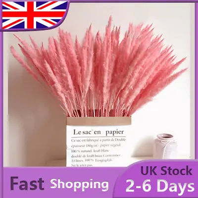 12 Pcs Pink Natural Dried Pampas Grass Reed Long Bunch Home Floral Bouquet Decor • £3.99