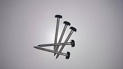£4.89 • Buy 100 X 30mm Black Polytop Plastic Headed Pins Poly Top - Stainless Steel