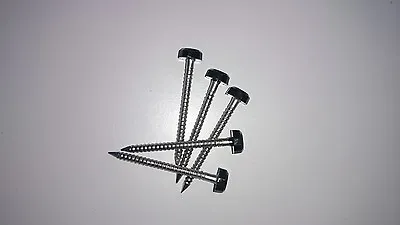 £3.49 • Buy 50 X 30mm Black Polytop Plastic Headed Pins Poly Top - Stainless Steel