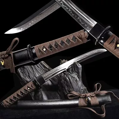 Japanese Tanto Sword Wakizashi Katana Sharp Clay Tempered T10Steel Blade Samurai • $129