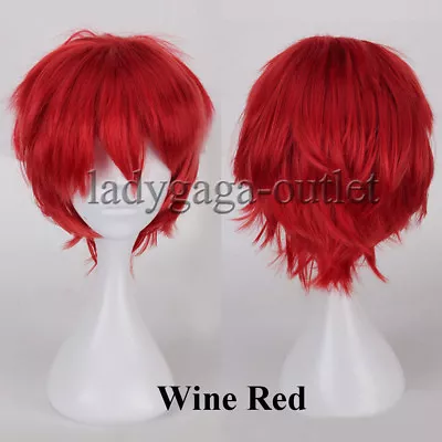 Men Male Boys Short Full Wig Anime Cosplay Costume Party Synthetic Hair Wig Zy48 • $15.58