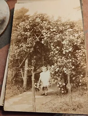 A2z Vintage Original Bw Photograph Girl In Garden Cheddar  • £2.75
