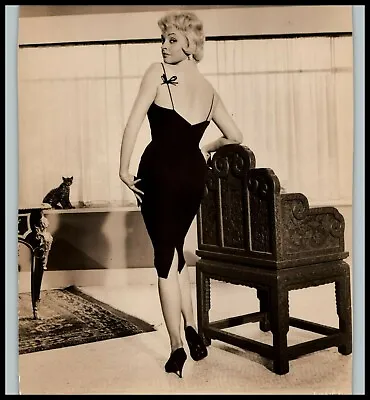 Hollywood Beauty NADJA TILLER 1950s CHEESECAKE ORIG ALLURING POSE Photo 530 • $17.99