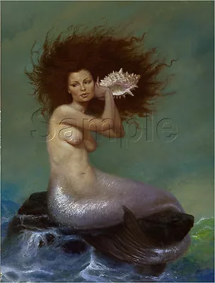 Mermaid Conch Shell Music Fantasy Naked Sea Nymph Vintage Canvas Art Print • $25.75