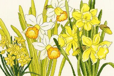 Bothy Threads ~ Counted Cross Stitch Kit ~ Daffodil Blooms • £24.25