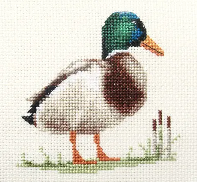 MALLARD DUCK ~ Full Counted Cross Stitch Kit Inc. Materials *Fido Stitch Studio • £9.95