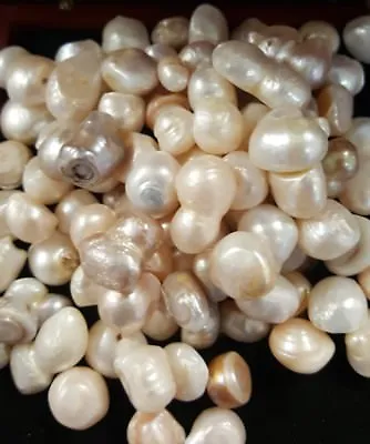 $22 • Buy 12mm Baroque Flat Bottomed Undrilled Undyed Fw Pearls Lot Of 20