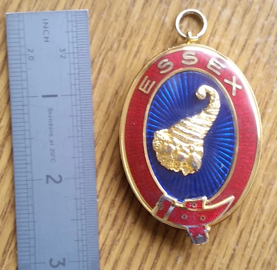 £15 • Buy Past Provincial STEWARDS Collar Jewel.