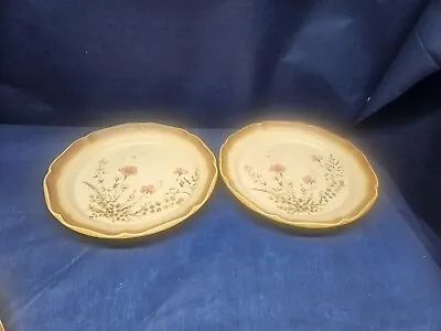 1980's Mikasa Whole Wheat Stoneware Japan  Jardiniere  Set/2 Dinner Plates EUC  • $21.99