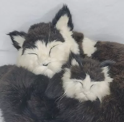 Vintage Realistic Sleeping Cat Kitten Black White Rabbit Fur Display Mom Baby • $63.75