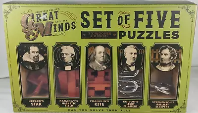 Professor Puzzle Great Minds Set Of 5 Brain Teasers - Wooden & Metal Challenges • $8.84