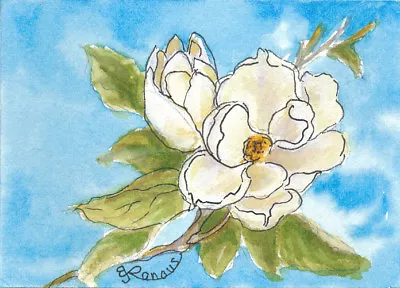 ACEO ORIG WC & INK PAINTING MAGNOLIA By Barbara J. Twist-Ranous • $15