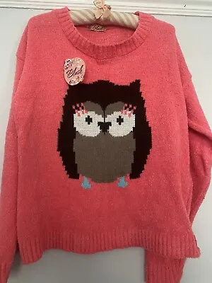 £5 • Buy Women’s Owl Jumper Size Medium New With Tags
