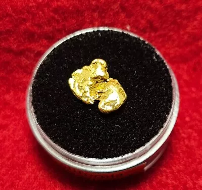 California Natural Gold Nugget 1.3 Grams In A Gem Jar W/lid • $97