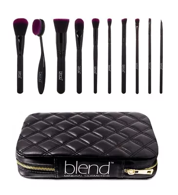 Blend Mineral Cosmetics 11 Pc Professional Makeup Artist Complete Brush Kit • $45