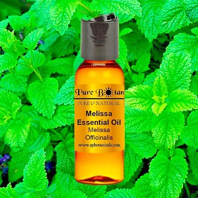 Melissa  Essential Oil · 100% PURE & NATURAL · Aromatherapy · BEST PRICE · 1oz • $10.18