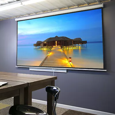 100  Projector Screen Projection Screen Manual Pull Down 16:9HD Screen For Home • $51.58