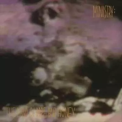 Ministry - The Land Of Rape And Honey  (Vinyl) • $35.14