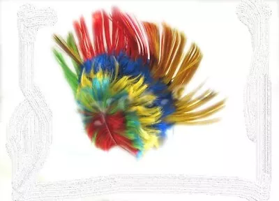 $8.98 • Buy Rainbow Mohawk Wig Costume Accessory Gay Pride