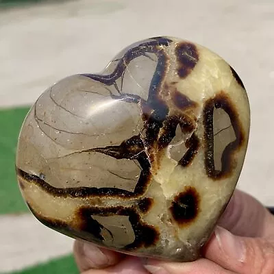 263G Natural Beautiful Dragon Septarian Heart-shaped Quartz Crystal Healing • $62.25