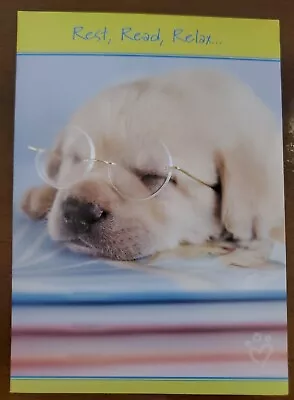 Marian Heath Cute GET WELL Card Puppy Sleeping W/glasses On Rachael Hale • $2.59