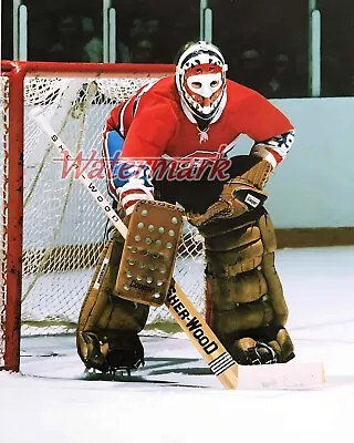 Montreal Canadiens Goalie Ken Dryden Color 8 X 10 Photo Picture • $5.59