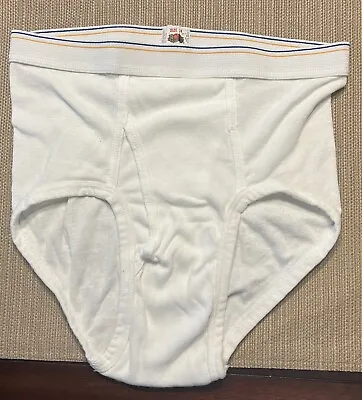 1980’s Vintage White Fruit Of The Loom Classic  Briefs Mens Size 34 Made In USA • $24.99