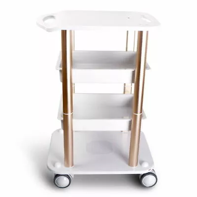 Medical Rolling Cart Mobile Spa Trolley Stand Salon Beauty Machine Storage Cart • $70.08