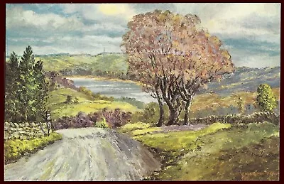 Washburn Valley By E Charlton Taylor.  Post Office Postcard NEPR2  [24715] • £0.99