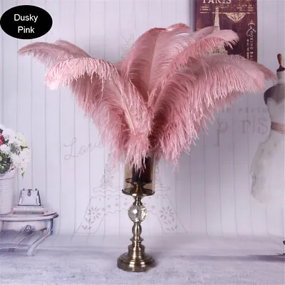 Long Quality Ostrich Feathers Wedding Costume Plume Decor Party Ornament 45-50cm • £4.99