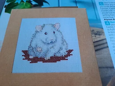 2 X Cross Stitch Chart Pet Of The Month Hamster & 6 Caravan Charts Only • £1.50