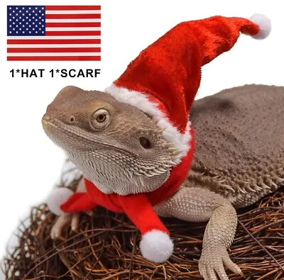 $4.99 • Buy US Bearded Dragon Lizard Hat+Scarf Christmas Costume Set Santa Clothes Outfit