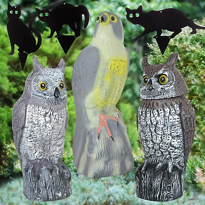 Garden Large Owl Falcon Cat Decoy Prey Bird Repellent Pest Control Deterrent • £99.45