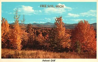 Vintage Postcard 1920's Natures Gold Free Soil Mason County Michigan MI • $8.98