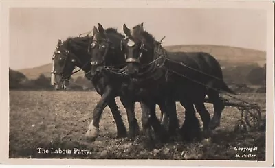 Vintage Real Photograph Postcard 'The Labour Party' Three Horses Pulling A Plow • £3.50
